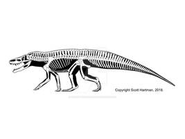 Batrachotomus - the 'typical' Triassic loricatan