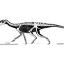 Triassic Proto-Dinosaur