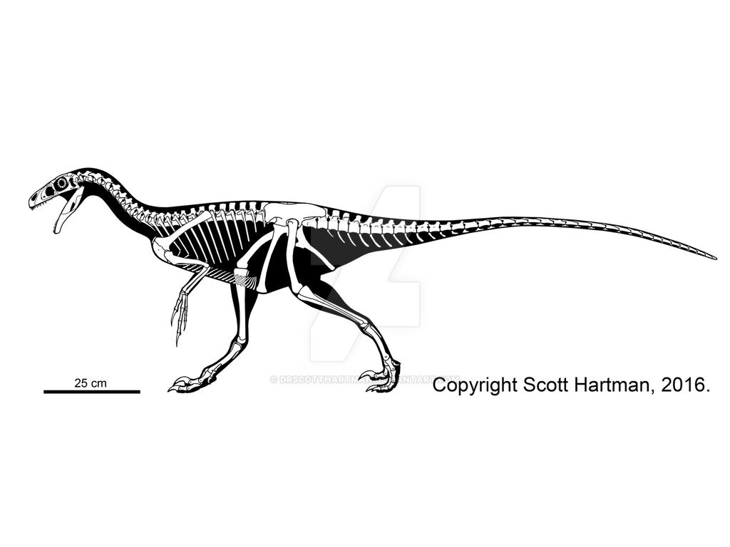 Ornitholestes