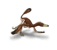 Velociraptor in Hot Pursuit
