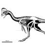 Anzu, the giant North American oviraptosaur