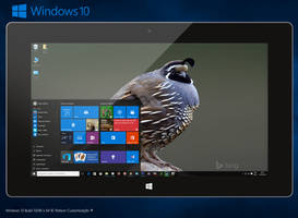 Tablet - Windows 10 Screen