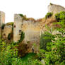 Castle