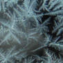 Hoarfrost