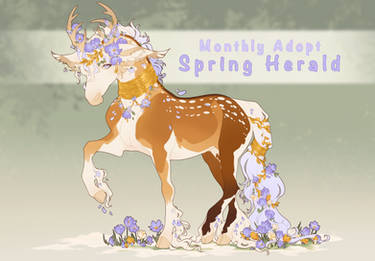 March Monthly Adopt | HOLD