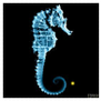 Fringe Glyph: Seahorse