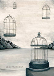 Surreal Cages