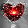 Cradled Heart