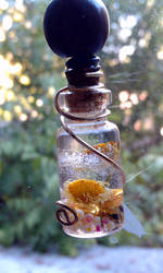 Blass Bottle Pendant With Real flowers