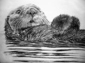 Otter