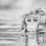 Monkey Bath