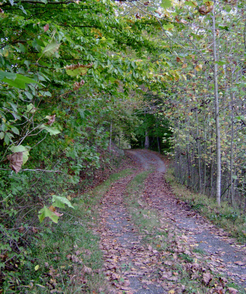 Path Back String Home path back home from refuge by thirdhand on DeviantArt
