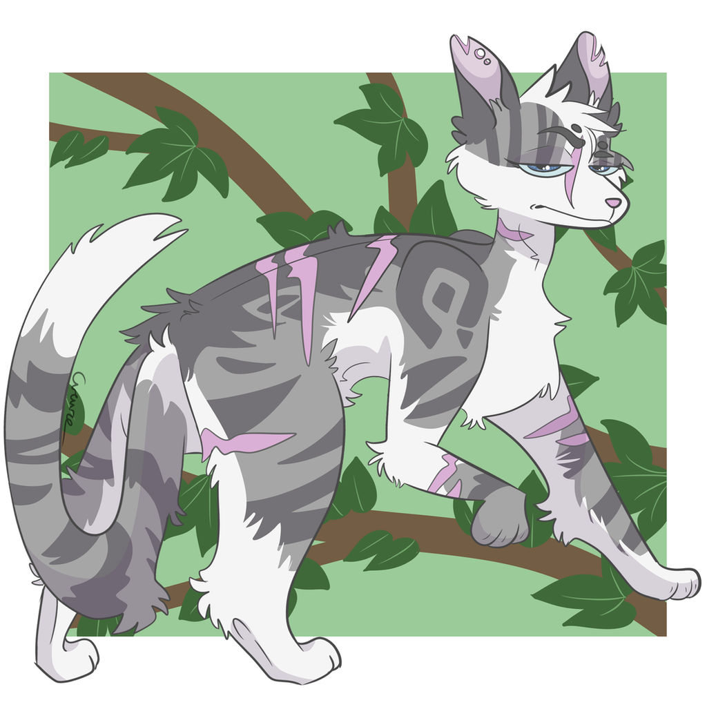 Ivypool Original Ivypool by Cremza on DeviantArt