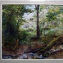 woodland scene