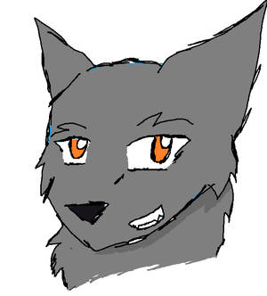 Random Wolf Headshot