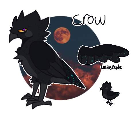 crow ref by CR0WCALL on DeviantArt