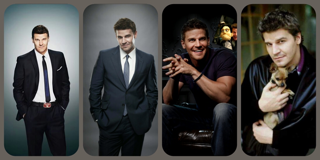 David Boreanaz