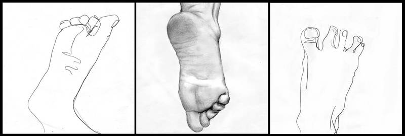 study of the Foot