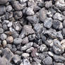 shingle of the sea