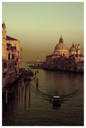 .venice.