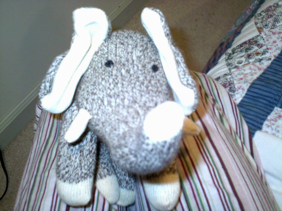 SOCK ELEPHANT