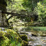 Bridge in Nature