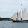 Maine Sail