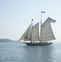 MAINE SAIL 3