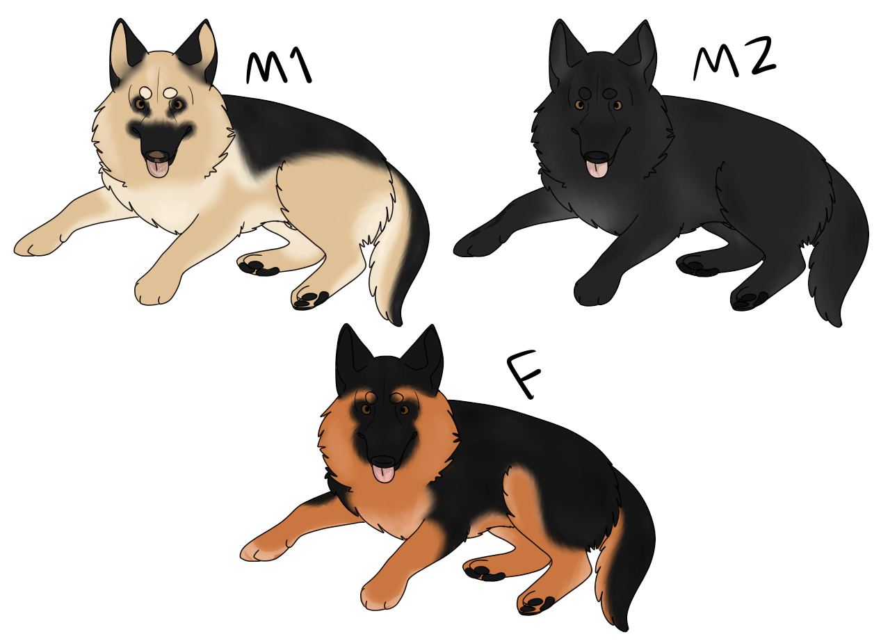 OPEN German Shepherd Dogs FOR SALE [Points]