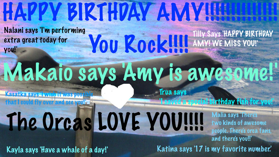 Happy Birthday Amy!!!