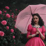 A Rose Garden