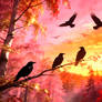 Pink Woods
