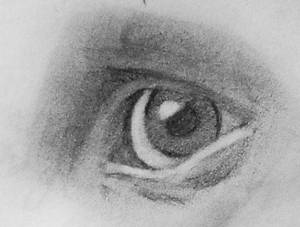 Eye