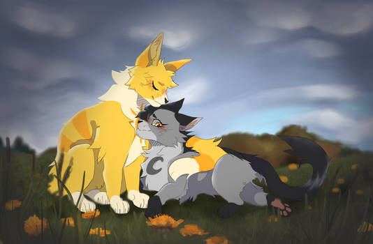 I'm in a field of dandelions...