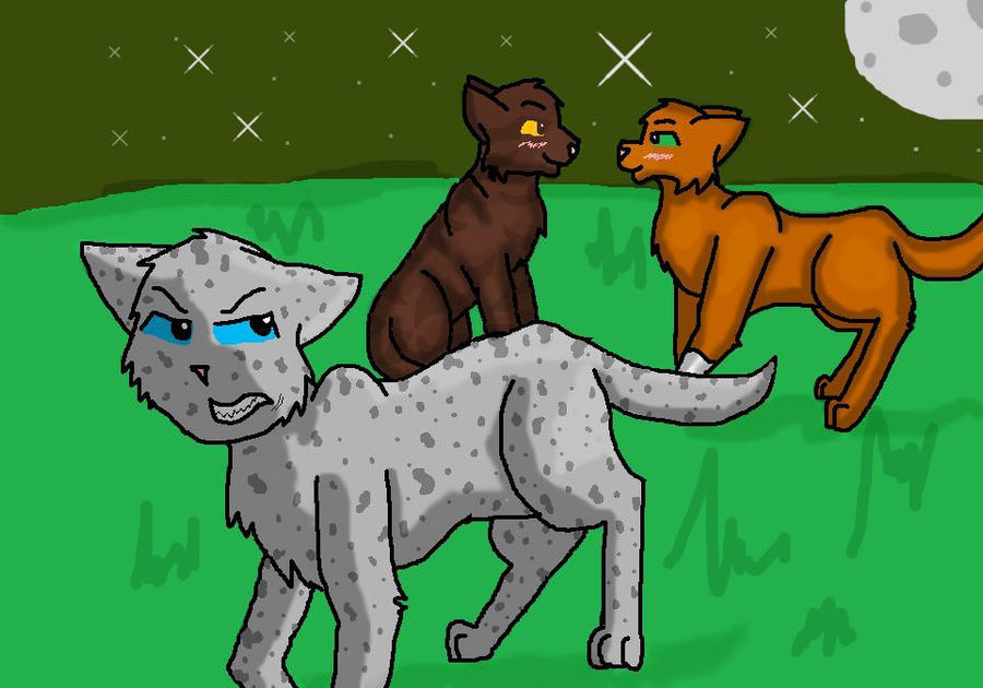 Ashfur's Anger