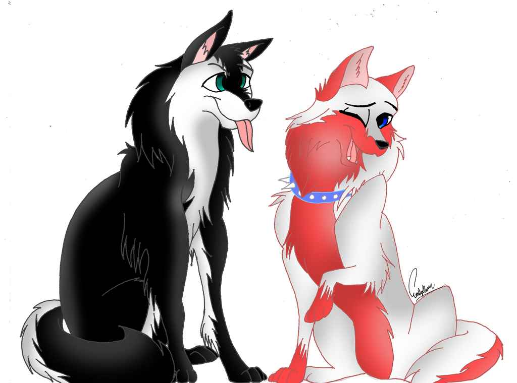 Wolves With Jake Jake's Funny Face (Wolves) by EmilyWulfStudios on DeviantArt