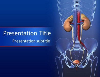 Download Editable Urinary Powerpoint Template By Kaceysmith On Deviantart