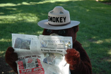 smokey catching up on events