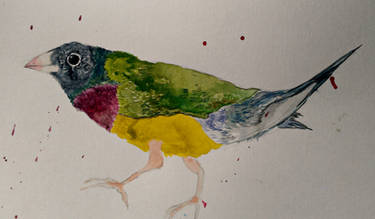 bird 2