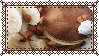 Cinnamon stamps collection - #6