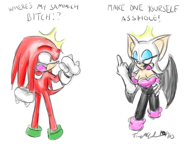 Knuckles and Rouge Fight