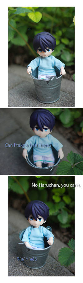 Haru-chan and the bucket