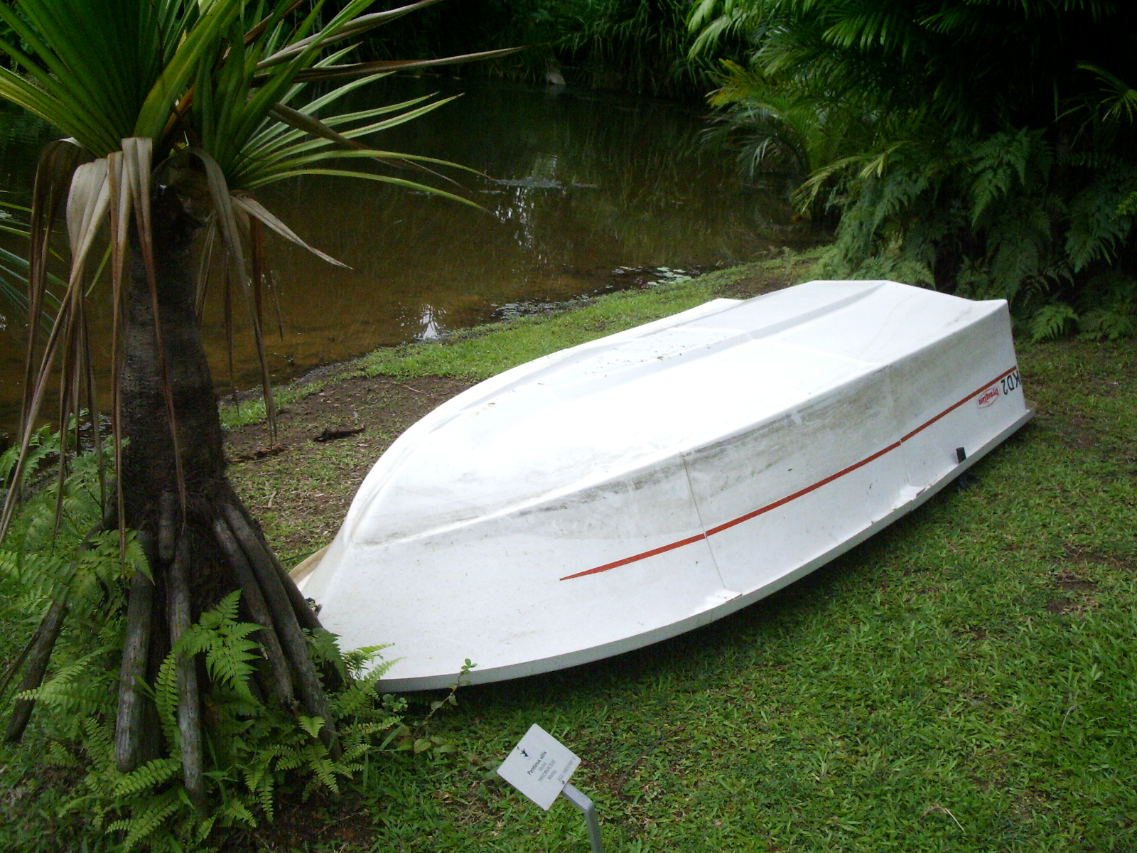 Botanical Garden: Boat