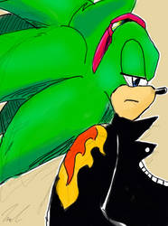 Scourgey the hedgehog