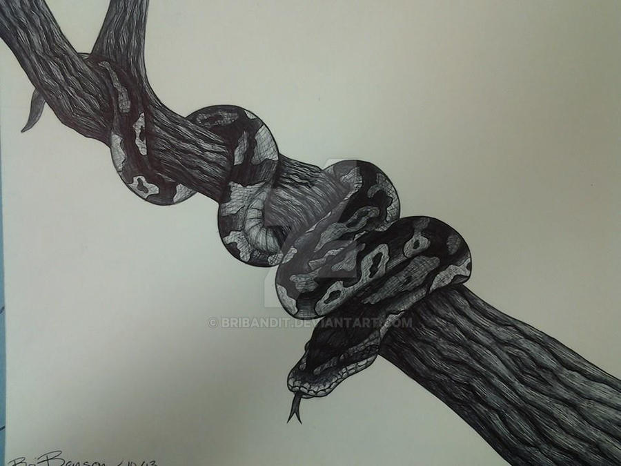 Ballpoint Ball Python by BriBandit on DeviantArt