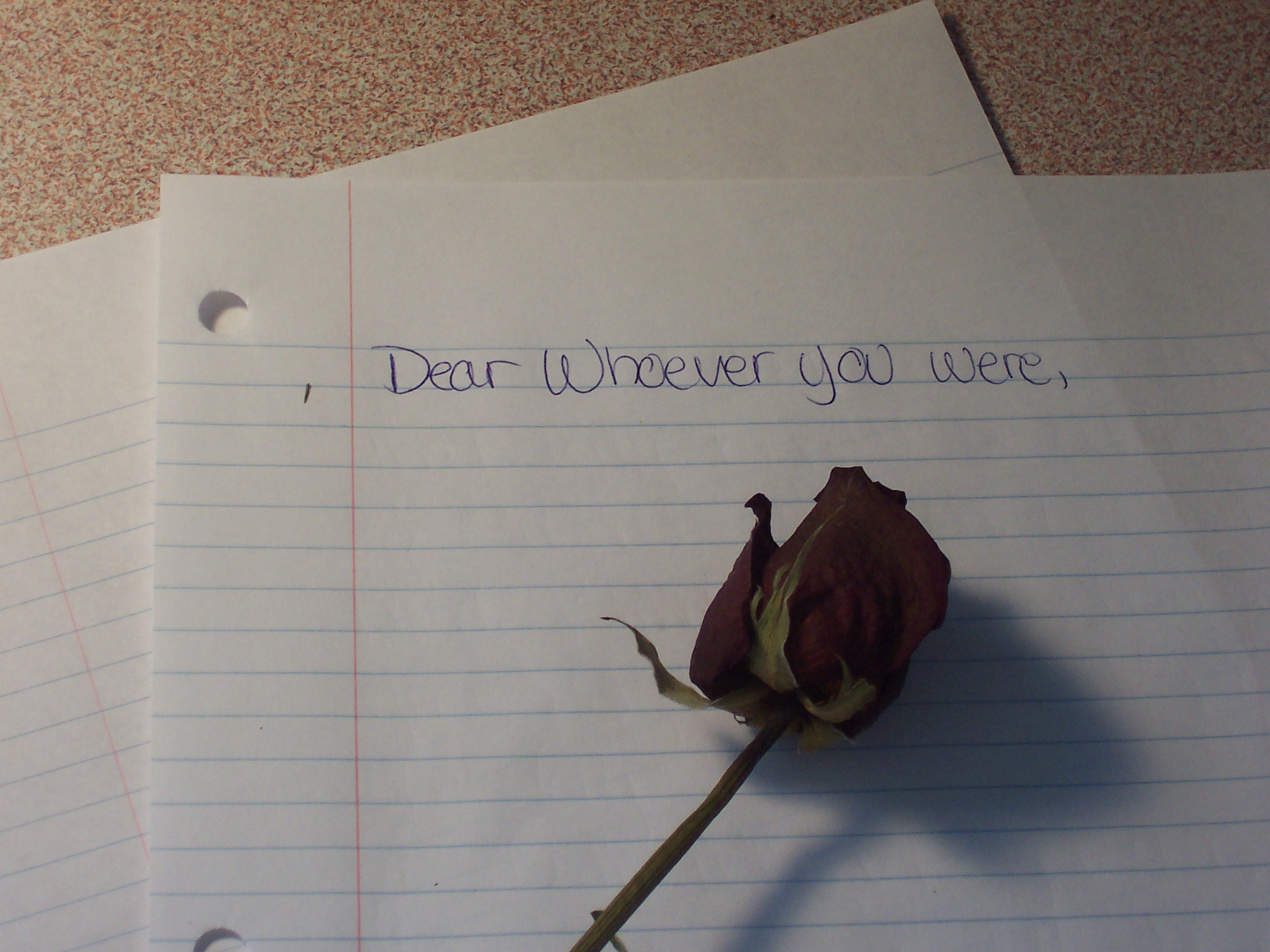Dear Whoever You Were... by Bedeccadybug