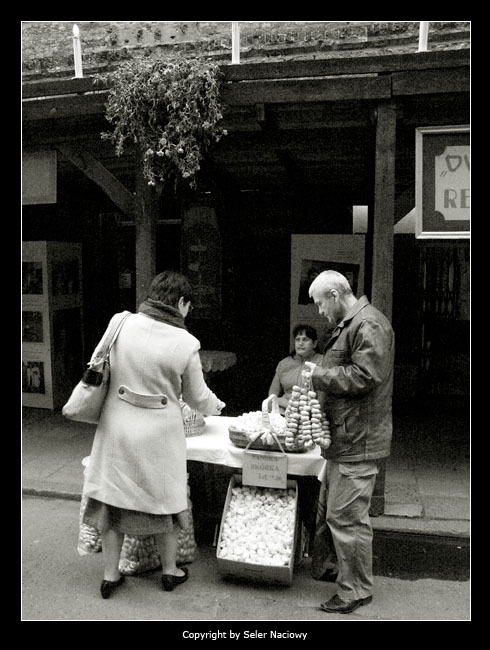 Festival of Jewish Culture IX