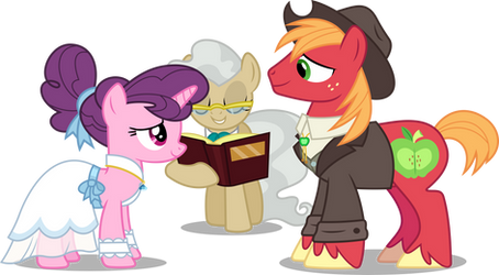 Sugar Belle and Big Mac getting married (Vector) by Fruft