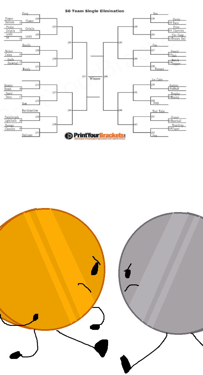 BFDI/II dA voting tournament 4