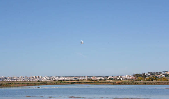 view at Portimao